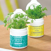 インテリア雑貨