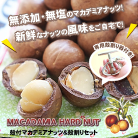 ロースト殻付きマカデミアナッツ200g殻割り器セット【オーストラリア】