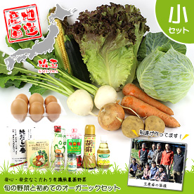 旬の野菜と初めてのオーガニックセット【目録引換券】